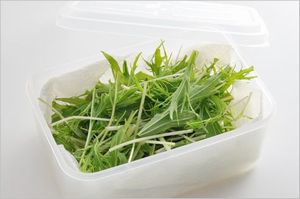 水菜の保存方法